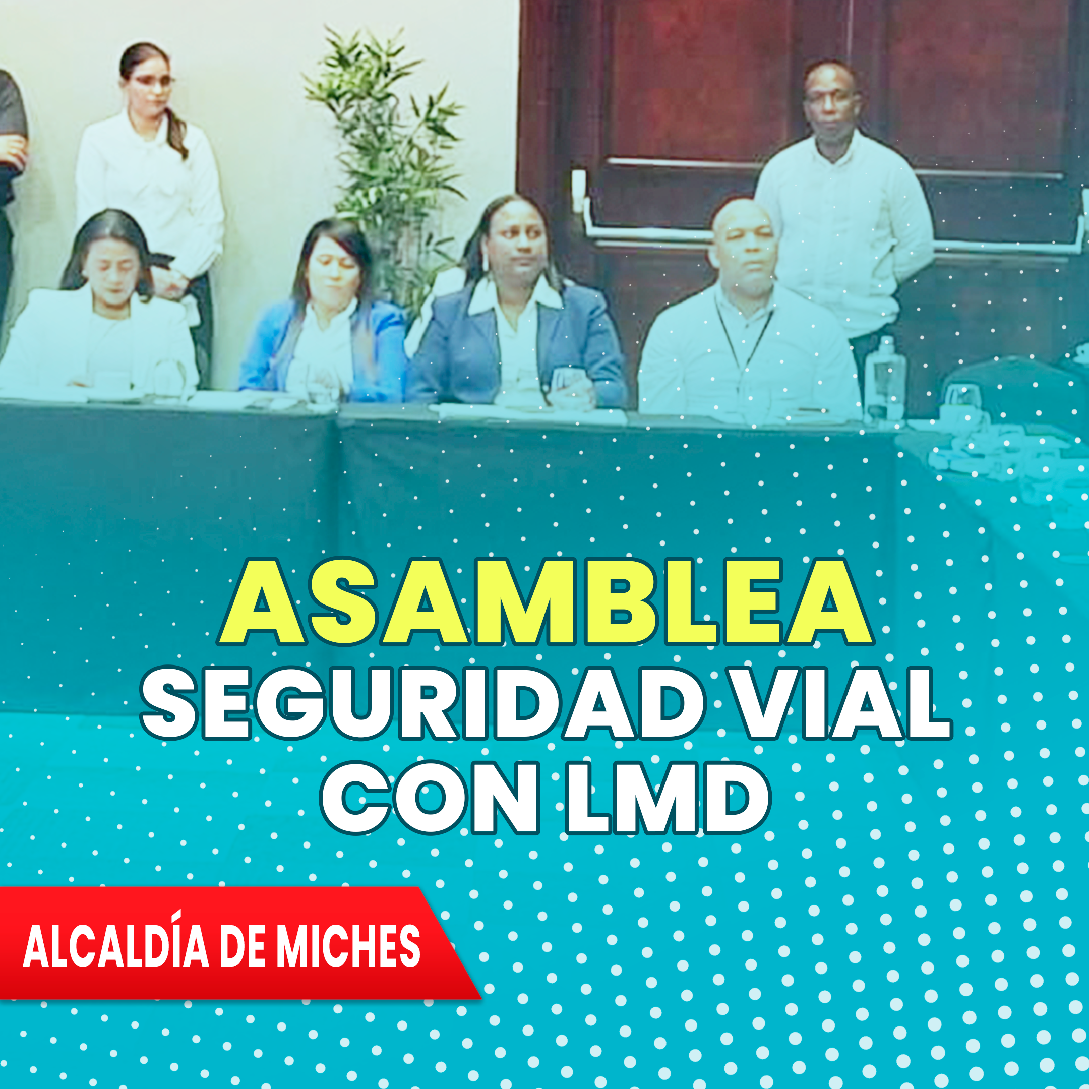 ASAMBLEA LIGA MUNICIPAL DOMINICANA