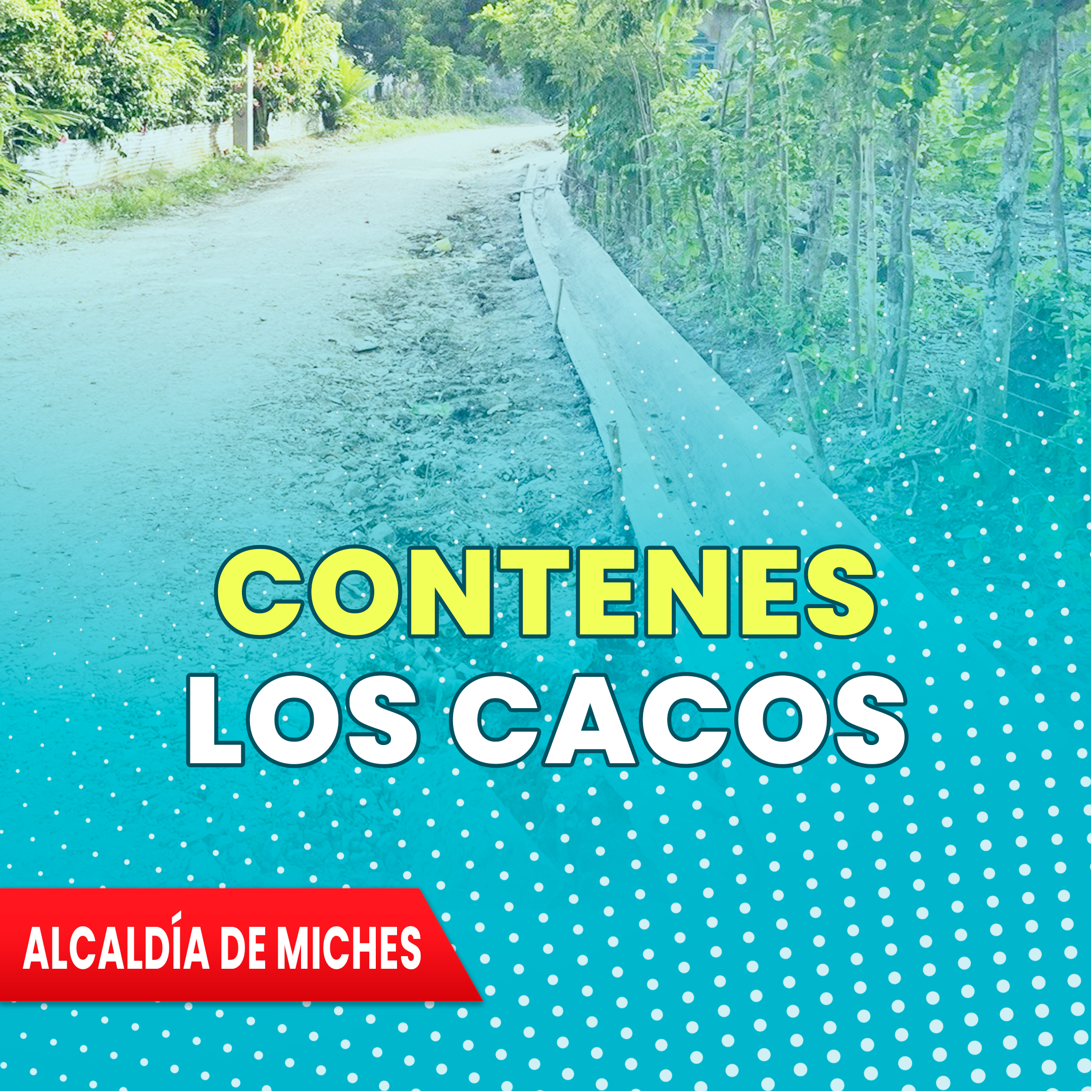 CONTENES LOS CACAOS